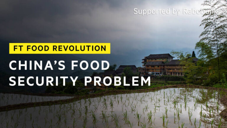 ఆహార భద్రతపై చైనా దృష్టి సారించింది