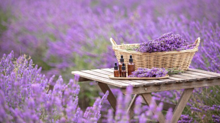 రోమ్, ఈజిప్ట్ మరియు వెలుపలకు మిమ్మల్ని టెలిపోర్ట్ చేసే ప్రయాణ-ప్రేరేపిత పెర్ఫ్యూమ్.