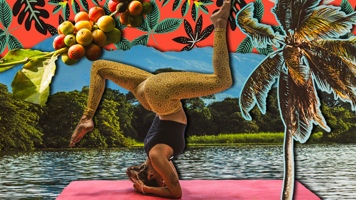 వాలంటీర్ల నుండి హౌస్ సిట్టర్ల వరకు