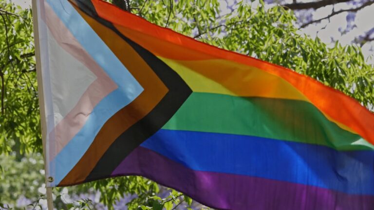 పాఠశాలల్లో ‘రాజకీయ’ జెండాలను నిషేధించే లక్ష్యంతో టేనస్సీ రిపబ్లికన్ బిల్లును ప్రవేశపెట్టింది.ప్రైడ్ జెండా ఇది విద్యార్థులను ‘బోధించడం’ అని చెప్పింది