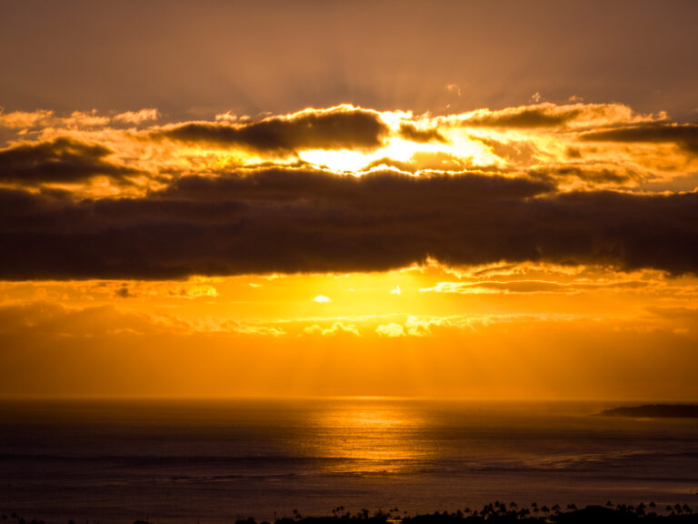 నీల్ మిల్నర్: మీరు ఈ సంవత్సరం రాజకీయాల గురించి ఆందోళన చెందుతున్నారా?దానిని విస్మరించండి