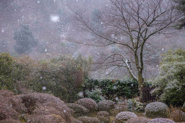 నా “శీఘ్ర” షాట్లతో నేను ట్రావెల్ ఫోటోగ్రఫీ ఫైనల్స్కి ఎలా చేరాను