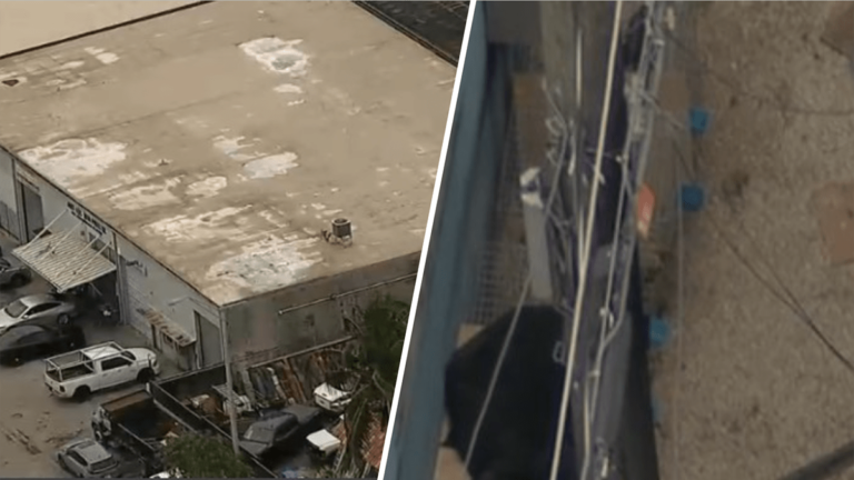 హియాలియా వ్యాపారం – NBC 6 సౌత్ ఫ్లోరిడాలో భారీ కాక్ఫైటింగ్ ఆపరేషన్ తర్వాత వ్యక్తిని అరెస్టు చేశారు