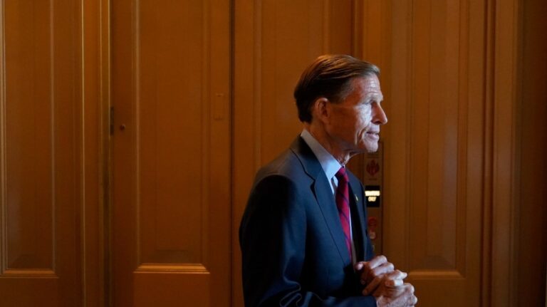 రష్యా ఆయుధాలతో U.S. ఇంజనీర్లు ఉక్రేనియన్లను చంపుతున్నారని నిపుణులు సెనేటర్లకు చెప్పారు