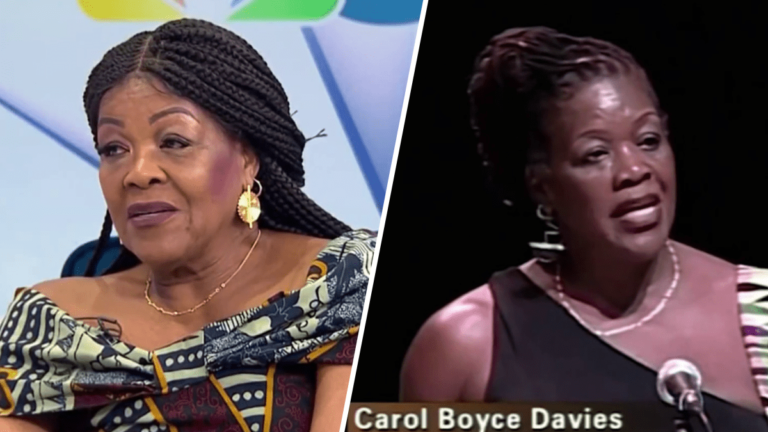 ట్రైల్బ్లేజర్ డా. కరోల్ బోయ్స్ డేవిస్ బ్లాక్ హిస్టరీ ఎడ్యుకేషన్ యొక్క ప్రాముఖ్యతను నొక్కిచెప్పారు – NBC 6 సౌత్ ఫ్లోరిడా