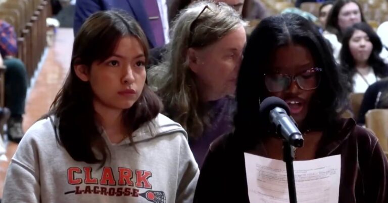 రాష్ట్ర చట్టం ఉన్నప్పటికీ, కొన్ని న్యూయార్క్ నగర స్థానిక పాఠశాల బోర్డులు విద్యార్థి కమిటీ సభ్యులను కలిగి ఉన్నాయి