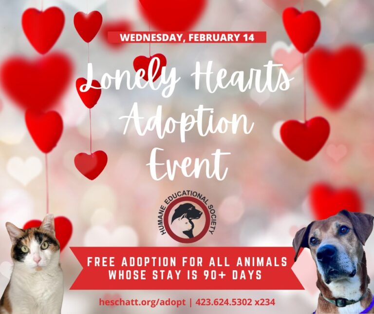 హ్యూమన్ ఎడ్యుకేషన్ సొసైటీ ఆఫ్ చట్టనూగా ఈ ప్రేమికుల రోజున దత్తత కార్యక్రమాలతో ప్రేమను పంచింది – 96 పూర్తయింది