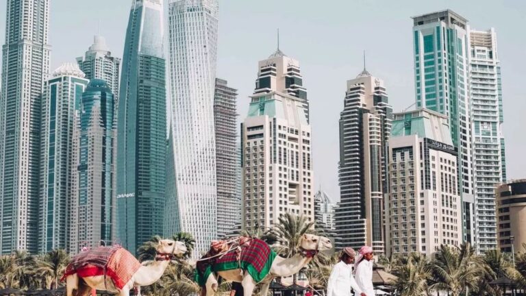 ఈజిప్ట్ యొక్క IBCU మరియు UEL ఆర్థిక శాస్త్రం, ఫైనాన్స్ మరియు డిజిటల్ మార్కెటింగ్ రంగాలలో కొత్త భాగస్వామ్యాన్ని ఏర్పరచుకున్నాయి