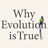 కాలిఫోర్నియా విద్యా వైఫల్యం – పరిణామం ఎందుకు నిజం