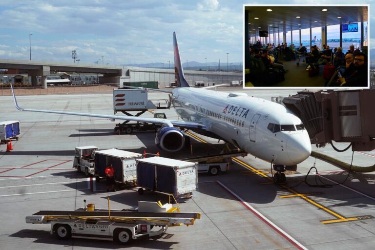 అత్యంత హాస్యాస్పదంగా విమానం ఎక్కేందుకు ప్రయత్నించిన వ్యక్తి అరెస్ట్