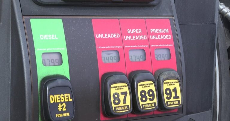 ఈ వసంతకాలంలో గ్యాస్ ధరలు ప్రయాణికులను నిరోధించవు | వార్తలు