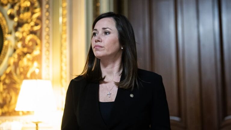 బిడెన్ సరిహద్దు విధానాలను విమర్శించడానికి ఉపయోగించిన ఉదంతాలు ఆయన అధ్యక్షుడిగా ఉన్న సమయంలో జరగలేదని సెనేటర్ కేటీ బ్రిట్ అంగీకరించారు.