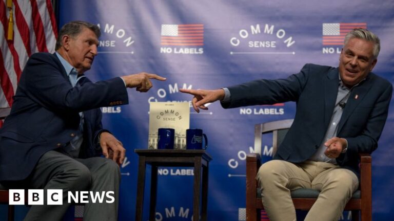 లేబుల్ చేయబడలేదు: 2024 US అధ్యక్ష ఎన్నికల్లో స్వతంత్ర గ్రూపులు ఎందుకు పోటీ చేయవు