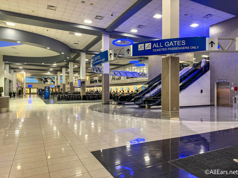 2024లో నివారించాల్సిన 5 ట్రావెల్ స్కామ్లు